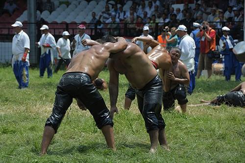 Mixed Oil Wrestling